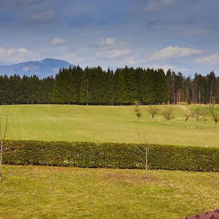 Countryside House Near Bled Apartment Podnart Exterior photo